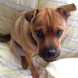 Meet your Posher, Kristen